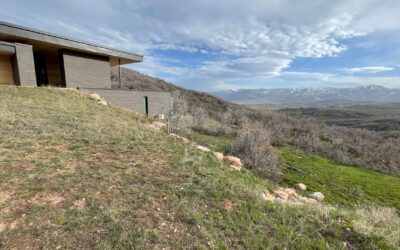 Importance of Garden and Landscape Diversity and Ecosystem