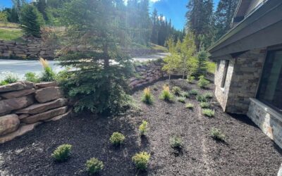 Hardscape/New Installs: Grass Removal Incentives in Park City